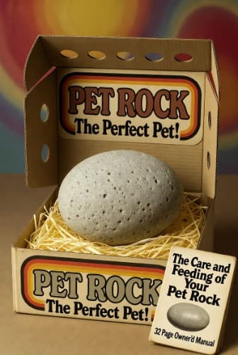 very nice pet rock